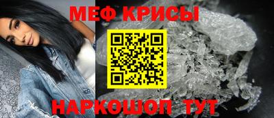 индика Гатчина