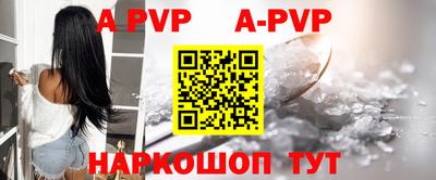 индика Гатчина