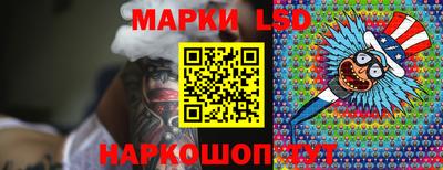 индика Гатчина