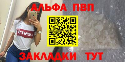индика Гатчина