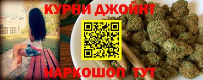 индика Гатчина