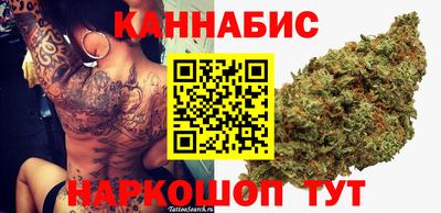 ECSTASY Гай