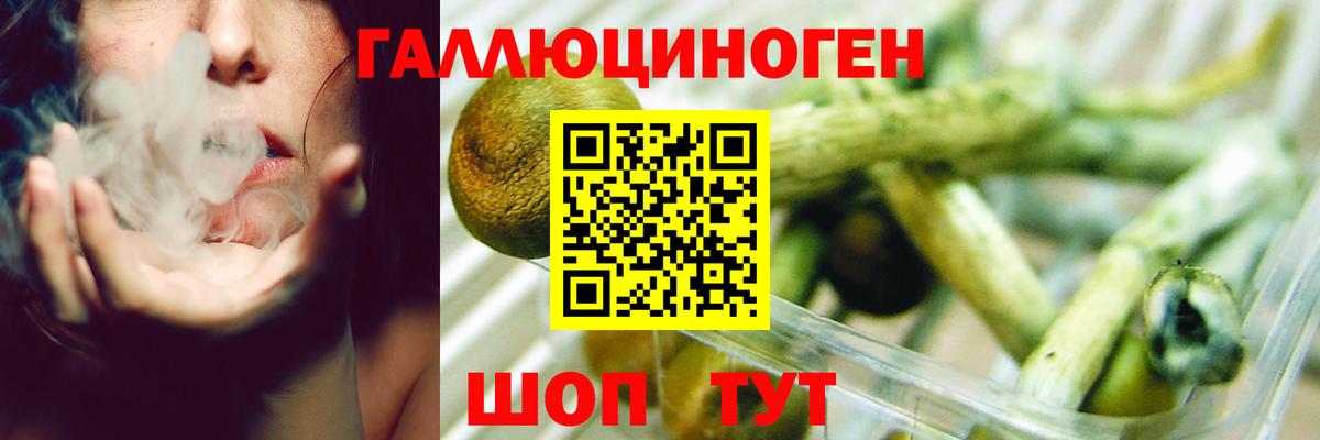 Псилоцибиновые грибы Psilocybe  Вход с VPN  Галлюциногенные грибы Psilocybine cubensis  Кемерово 